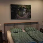 Ferrum Ferrum Valkenburg aan de Geul