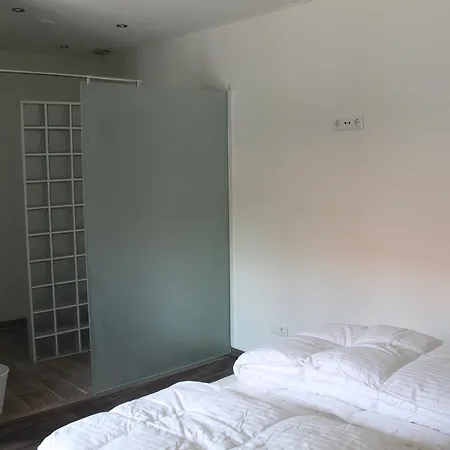 Ferrum Ferrum Bed & Breakfast 3*