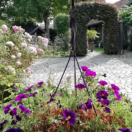 Ferrum Ferrum Bed and Breakfast 4*