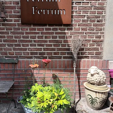 Ferrum Ferrum Bed and Breakfast Valkenburg aan de Geul